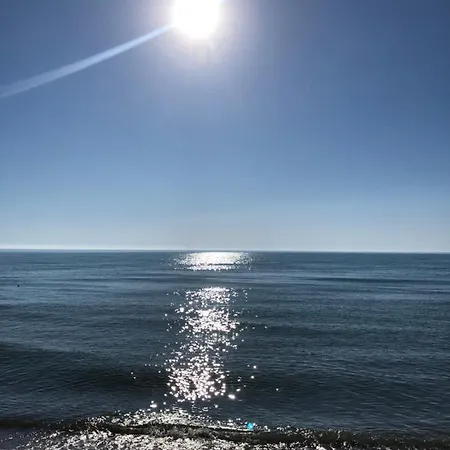 Sunnyside Hamallaj